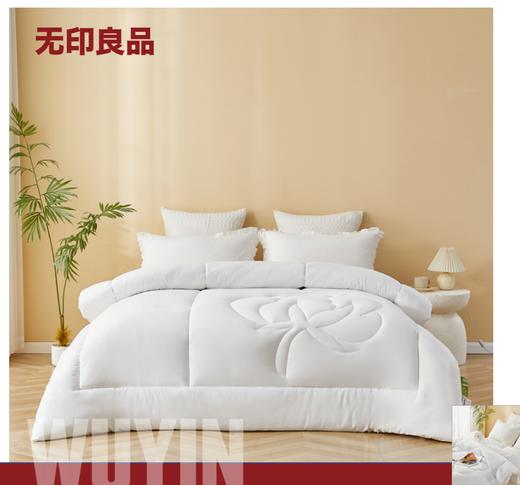 ————无印良品A类抗菌棉花被-一朵棉花MJ-B2025  2*2.3（代发） 商品图0