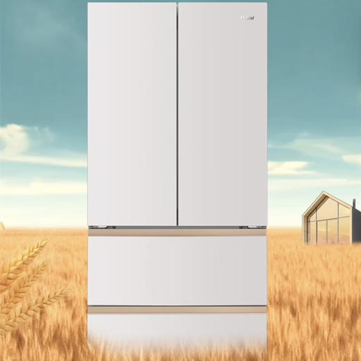 海尔（Haier）冰箱 BCD-510WGHFD1BNXU1 商品图0