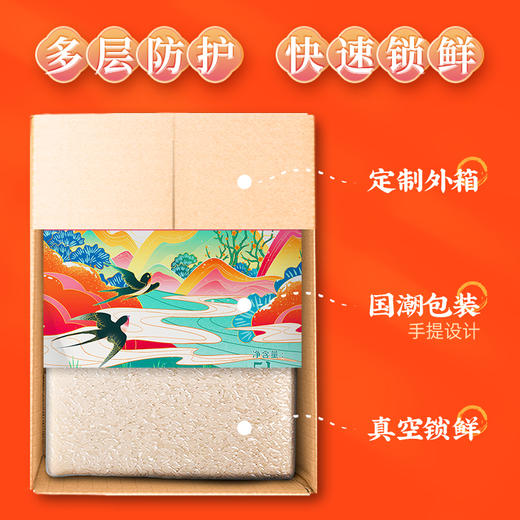 隆平芯米(辽河长粒香）5kg 商品图1