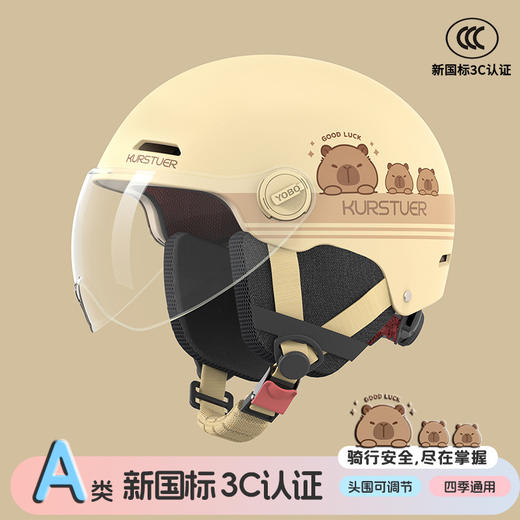 新国标3C认证头盔 电动车头盔秋新款电瓶车帽男士四季款通用 商品图9