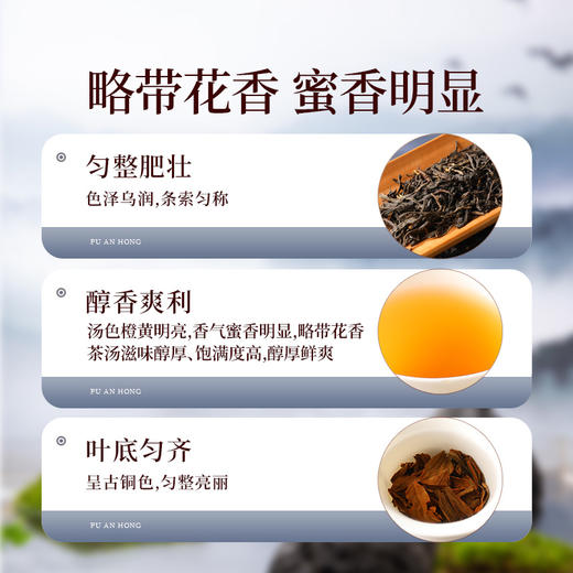 正山堂普安红 黔小茶红罐 骏眉中国红茶正宗贵州大叶种茶叶罐装自饮100g 商品图1