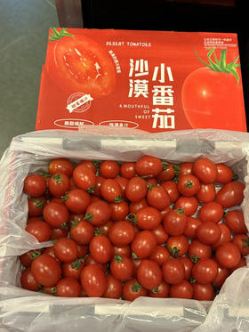沙漠小番茄礼盒（2斤装）