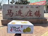 马连庄甜瓜丨原产地核心果园，香甜细腻，甘润爽口，果蒂处会发苦，去蒂削皮吃，口感更佳⭐️京东、顺丰快递 商品缩略图7