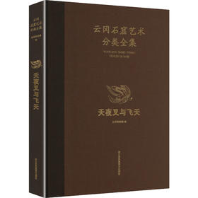 云冈石窟艺术分类全集 天夜叉与飞天