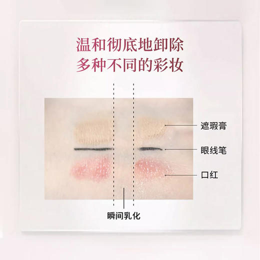 Domohorn Wrinkle 再春馆制药所卸妆凝露 110g【2025.12.20】 商品图3