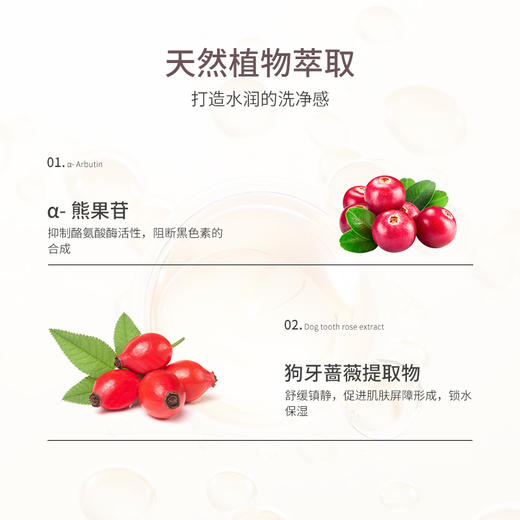 CyclePlus 菁龄 娜丽丝院线柔和洗面奶100g 商品图5