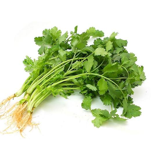 香菜 约100g/份 商品图0