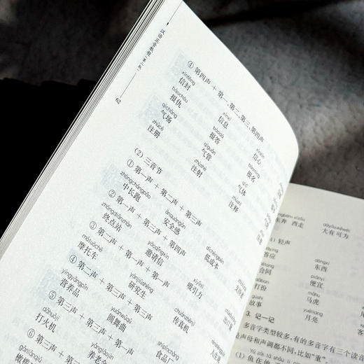 汉语正音教程 第二版 蒋冰冰 非汉语母语学习者的正音教学 商品图10