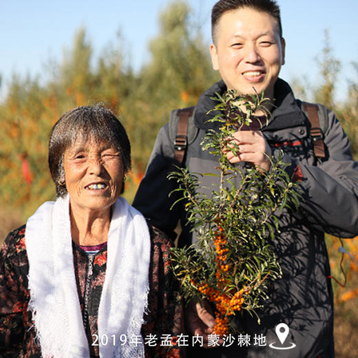 好喝的，添加沙棘籽油的内蒙有机沙棘原浆√有效成份1+1＞2，规格：42ml×10袋/盒，保质期18个月！入口即惊艳！ 商品图3