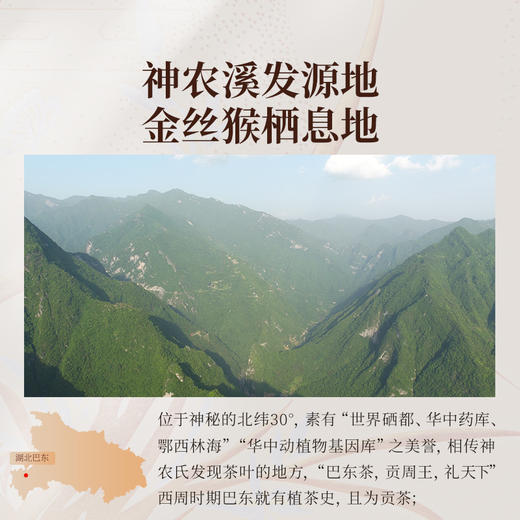 正山堂巴东红 自在礼盒装 特级骏眉红茶湖北茶叶送礼长辈256g 商品图4