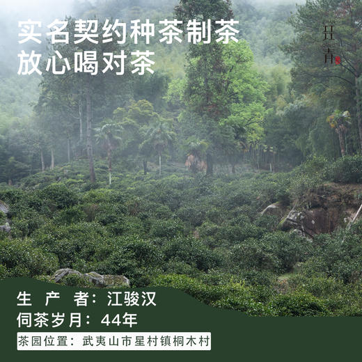 正山小种红茶2025新茶武夷山桐木村花果香桂圆汤 商品图3