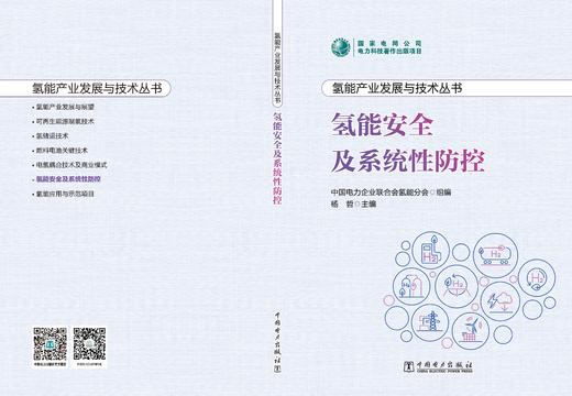 氢能产业发展与技术丛书 氢能安全及系统性防控 商品图1