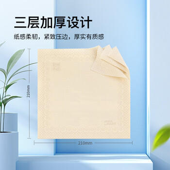 泉林本色手帕纸3层30张*50包便携小包纸巾钱包纸车载抽纸面巾纸餐巾纸 /家庭清洁/纸品 /清洁纸品 /手帕纸 商品图5