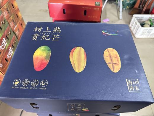 【预售】海南树熟贵妃芒丨肉厚核小 口感甜香浓郁  果肉细腻嫩滑‼️⭐️京东快递 商品图8