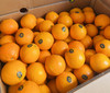 澳橙🍊 口感精选！橙味浓郁，微酸，果肉细腻无渣。补充维C，好吃还好喝🍹 商品缩略图2