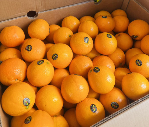 澳橙🍊 口感精选！橙味浓郁，微酸，果肉细腻无渣。补充维C，好吃还好喝🍹 商品图2