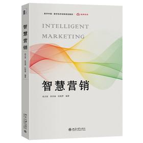智慧营销 赵占波 张语涵 杜晓梦 编著 北京大学出版社 数字中国·数字经济创新规划教材
