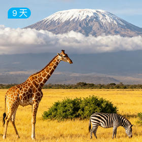 2026 元旦跨年•第四届乞力马扎罗登山大会