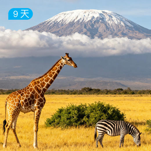 2026 元旦跨年•第四届乞力马扎罗登山大会 商品图0