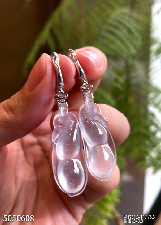玻璃种花生豆耳坠【5050608】具体价格微信咨询 商品图5