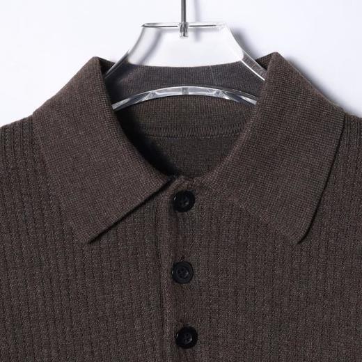 SDSA男士秋冬新款痞帅男装潮牌纯色polo翻领针织衫休闲百搭毛衣 商品图1