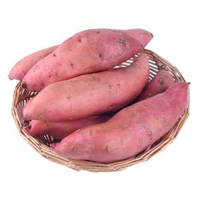 红薯 约550-650g/份