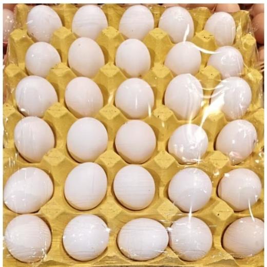 白凤鸡蛋30粒 商品图0