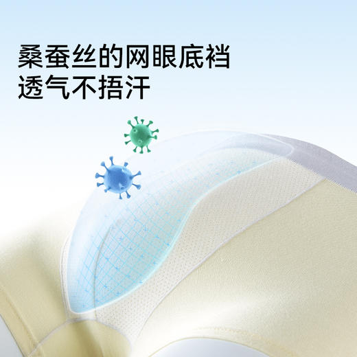 【儿童奶皮内裤】MILOFISH米乐鱼·儿童优可丝竹锻柔软奶皮内裤3条装 商品图2