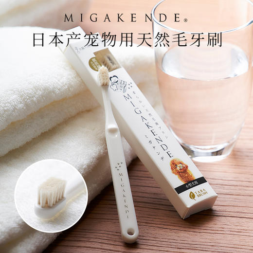 Migakende 猫咪小型犬用牙刷 天然羊毛 商品图0