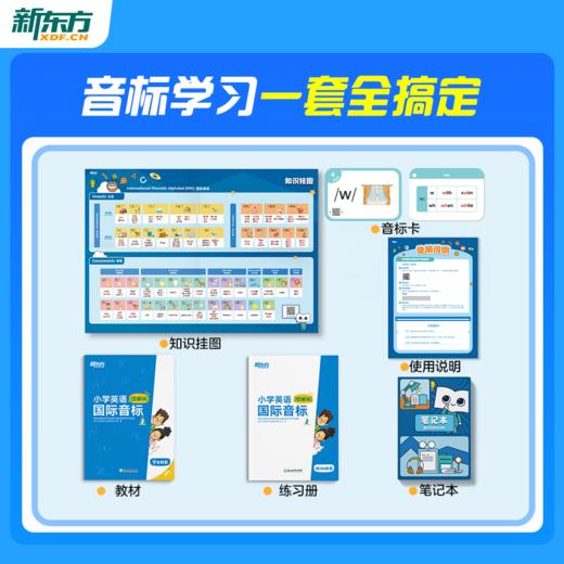 （专属）【新东方】 国际音标盒子 商品图4