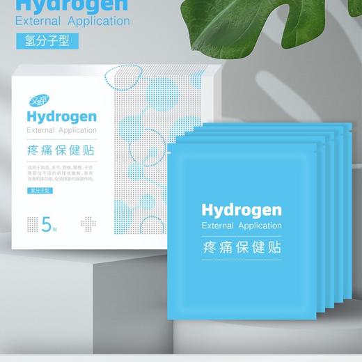 【汉氢卓】疼痛保健贴 商品图0