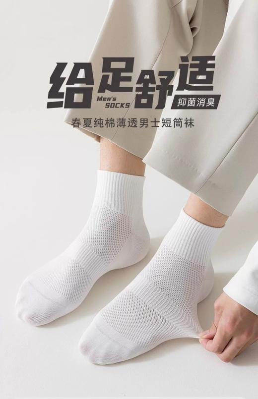 罗蒙10A级抗菌艾草精油防臭棉袜 商品图2