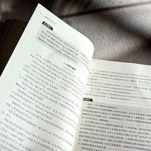 儿童文学 第二版 高等院校小学教育专业教材 吴其南 黄夏青 商品图11