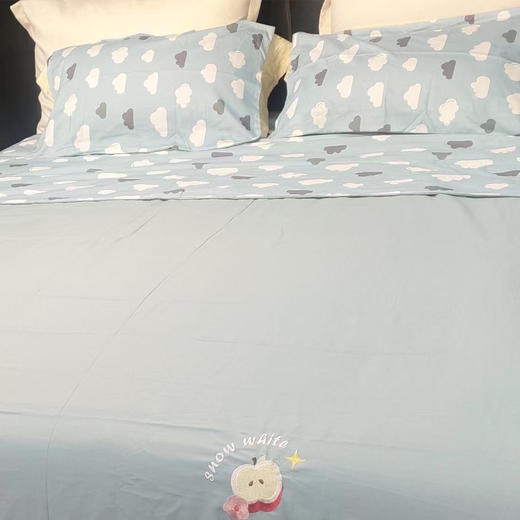 水洗棉床品四件套 商品图0