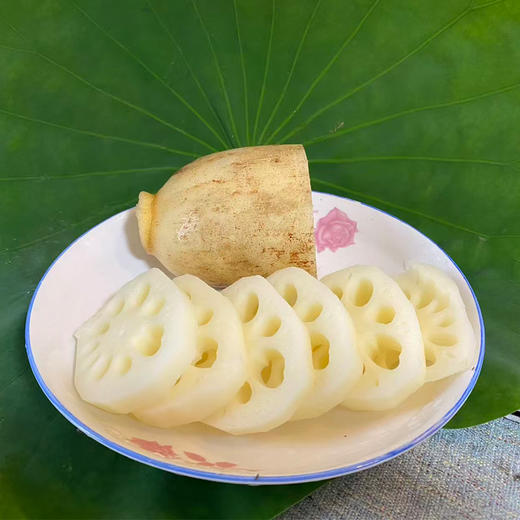 【48小时内发货，现挖现发】基地直发 | 生态莲藕（脆藕）| 江苏苏州 商品图0