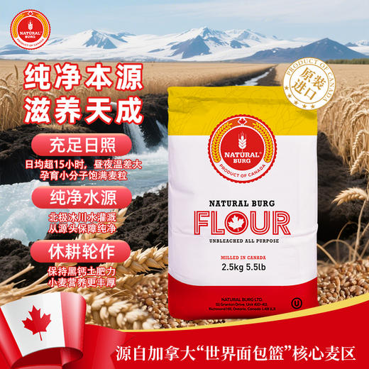 【圣地博格多用途面粉】规格：2.5kg&5kg/袋 商品图10