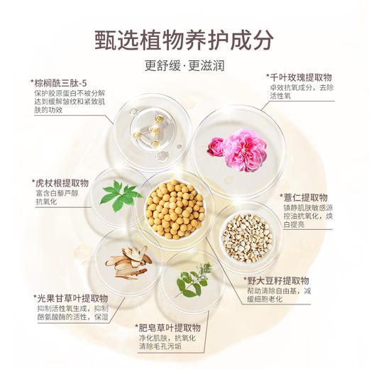 CyclePlus 菁龄 娜丽丝院线柔和洗面奶100g 商品图2
