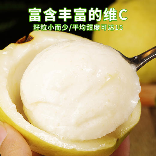 广西白心芭乐 3斤装 顺丰快递 商品图1