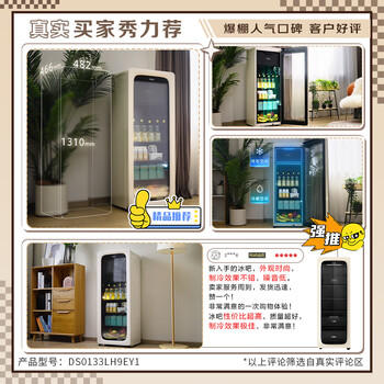 海尔（Haier）小红花133L冰吧家用冷藏柜保鲜柜办公室客厅精致小冰箱小型冰柜一级能效双温DS0133LH9EY1换新补贴 /家用电器 /大 家 电 /冷柜 商品图0