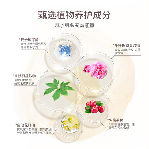 CyclePlus 菁龄 娜丽丝院线焕白全能乳霜滋润型 50ml 商品图3