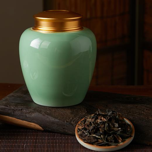 普陀山书院2009年/2006年荒野寿眉 商品图0