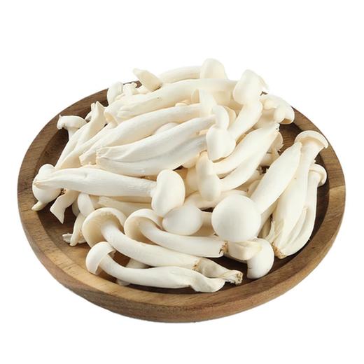 白玉菇 约220g/份 商品图0