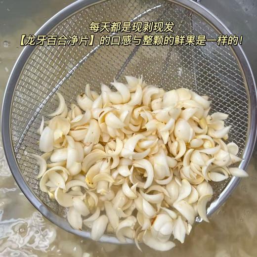 【鲜百合净片】个大、片大、片厚、洁白如玉、口感粉糯，真正能有效果的，首选药食同源的龙牙百合，是鲜百合经过剥片-超声清洗-沥水-等离子灭菌-装袋真空，每天都是现剥现发，口感与整颗的新鲜百合是一样的。 商品图2