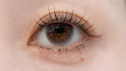 Chonos日抛·雾岛呼吸/糯糯青山·14.5直径·中大着色·10片装 商品图1