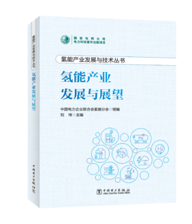 氢能产业发展与技术丛书 氢能产业发展与展望