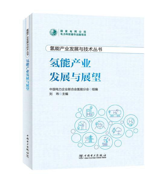 氢能产业发展与技术丛书 氢能产业发展与展望 商品图0