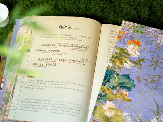 经典《宋词》2025震撼升级|烫金彩图典藏版全2册|全注全解全译，307首经典词作+420幅古画+23大美学专题+12类文学拓展，一次揽尽5000年东方美 商品图7