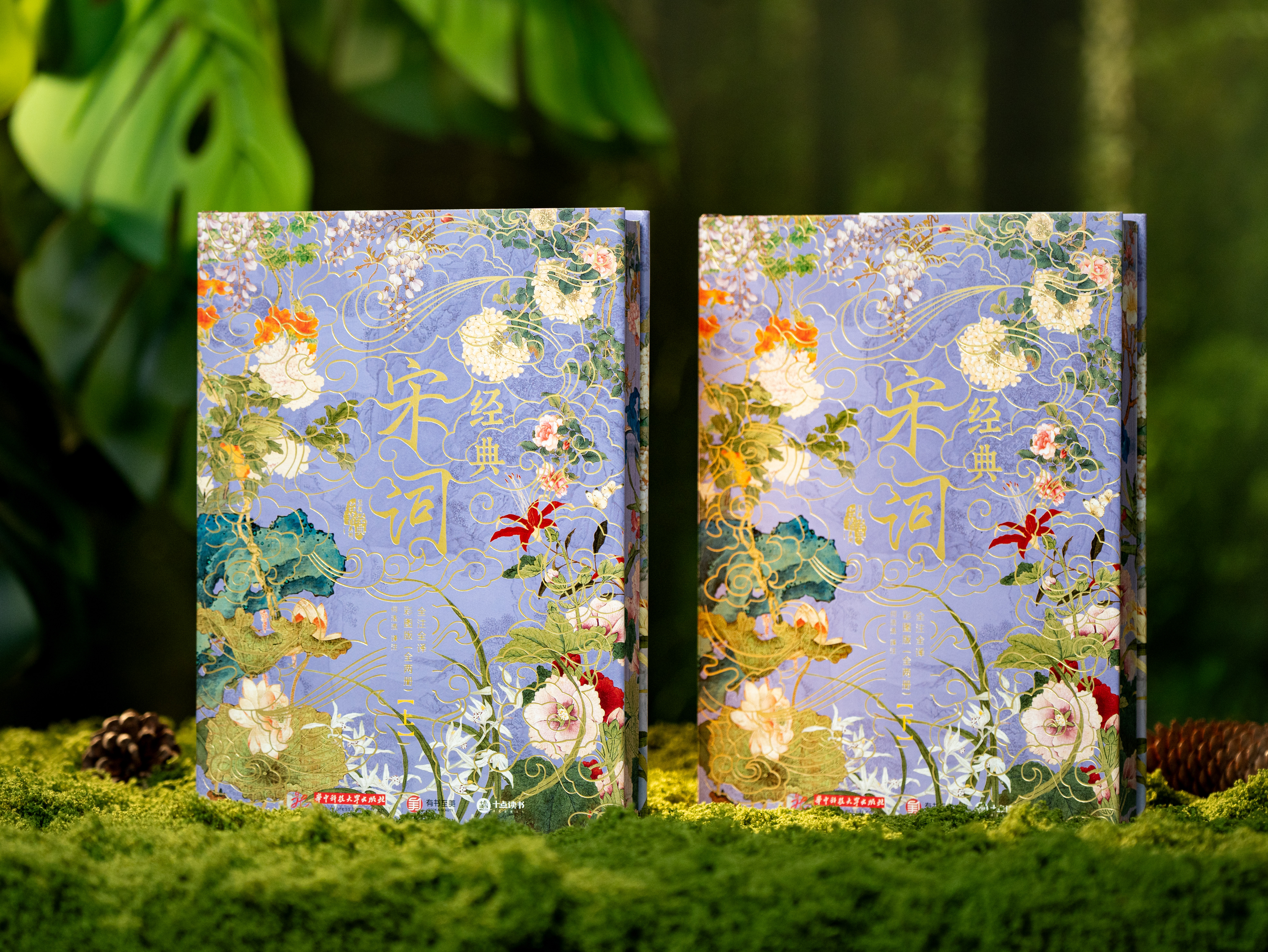 经典《宋词》2025震撼升级|烫金彩图典藏版全2册|全注全解全译，307首经典词作+420幅古画+23大美学专题+12类文学拓展，一次揽尽5000年东方美