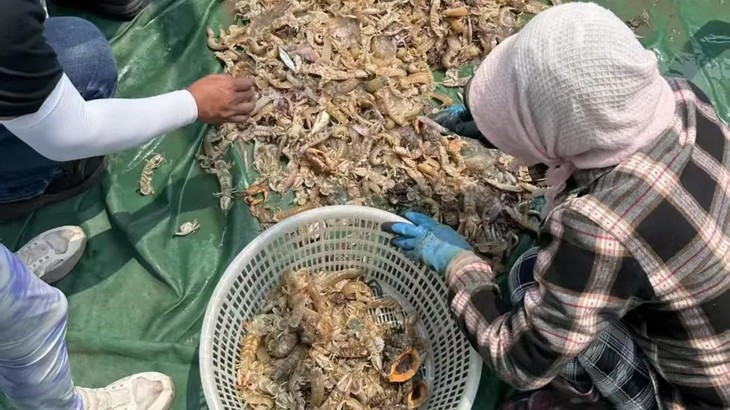 微信图片_20250509084311.jpg 微信图片_20250509084311.jpg