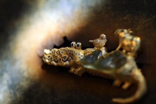 富足丰美的共生｜南美洲快乐小伙伴们 商品图1